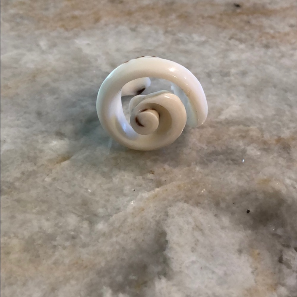 Carved shell ring